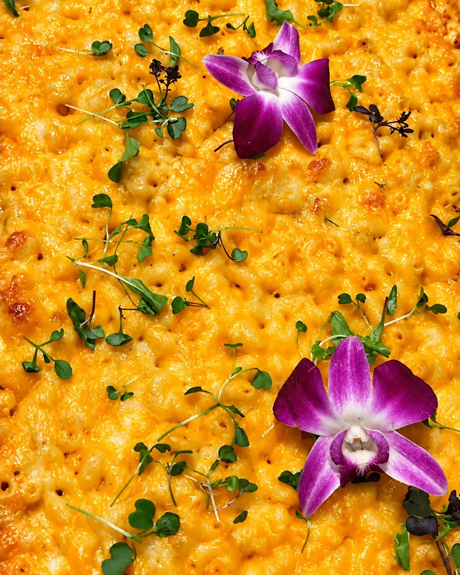 Tray of baked mac and cheese topped with herbs and purple orchids